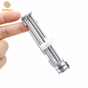 Tengli 15BY2577 PM Linear Stepper Motor with Rail