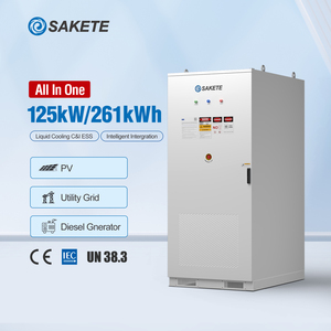 100kWh 215kWh 261kWh Outdoor Energy Storage System SAKETE ESS All in One