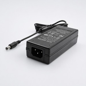 5-200W AC DC Switching Power Adapter
